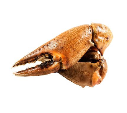 Comprar online bocas de cangrejo cocidas o crudas y recibirlas en casa en 24-48h | Marisco cocido para navidad