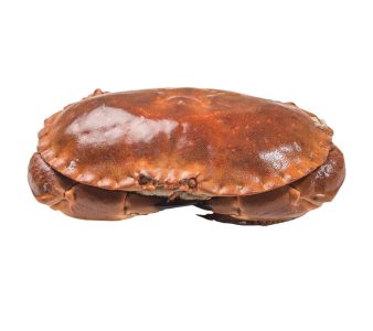 Comprar buey de mar cocido | Buey de mar relleno | Marisco para celebraciones | Comprar en pescaderia online con envios a toda España