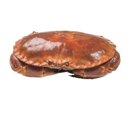 Comprar buey de mar cocido | Buey de mar relleno | Marisco para celebraciones | Comprar en pescaderia online con envios a toda España