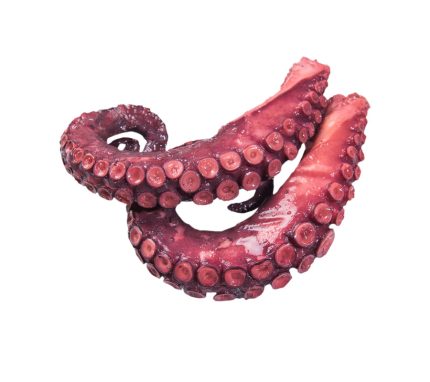 Comprar online patas de pulpo cocidas y recibir a domicilio en 24h | patas de pulpo jugosas | Pulpo a la gallega, pulpo a la brasa