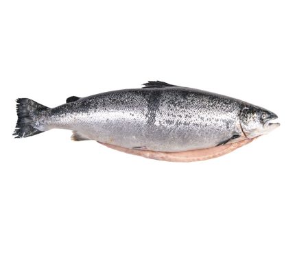 Comprar salmón fresco online y recibir en 24h | Salmón noruego entero o al corte