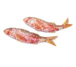 Salmonete de roca fresco online | Salmonete grande | Recibir pescado fresco en 24h