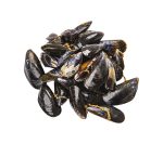 Comprar online mejillón francés | Mejillones frescos con un tamaño pequeño | Marisco fresco a domicilio en 24h