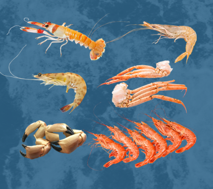 comprar mariscada clásica a domicilio en 24h | Marisco cocido para Navidad | Envios a toda España