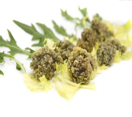 Ortiguillas prefritas a domicilio en 24-48h. Comprar bandejas congeladas. Disfrutar del sabor del mar en casa. Producto artesano y congelado de las costas de Cádiz