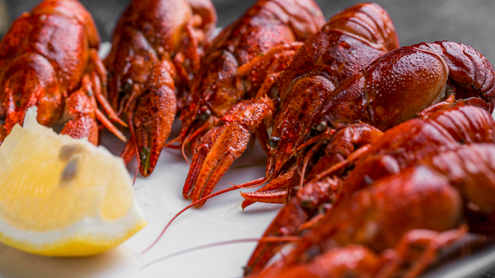 6 mariscos nacionales que siempre triunfan