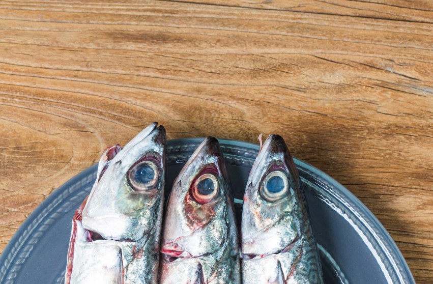 Pescado azul o blanco_ el que no eliges, te lo estás perdiendo