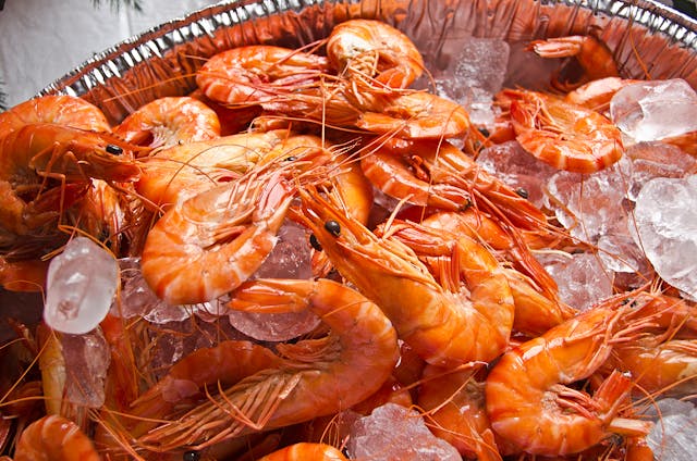 Guía completa de pescado y marisco fresco_ beneficios y tipos